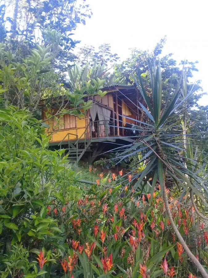 Sonarte Reserva Natural Cordoba  外观 照片