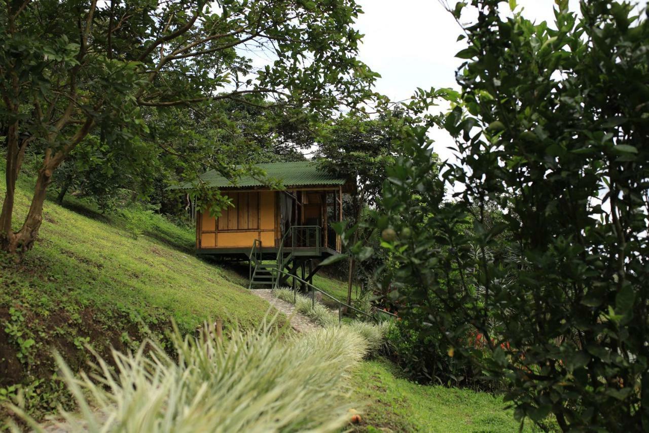 Sonarte Reserva Natural Cordoba  外观 照片